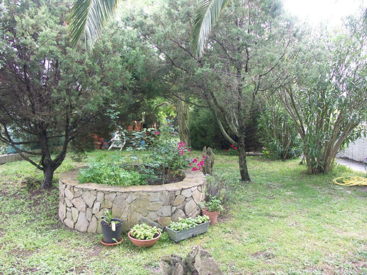 Locanda Del Pescatore Apartment Palmadula ภายนอก รูปภาพ
